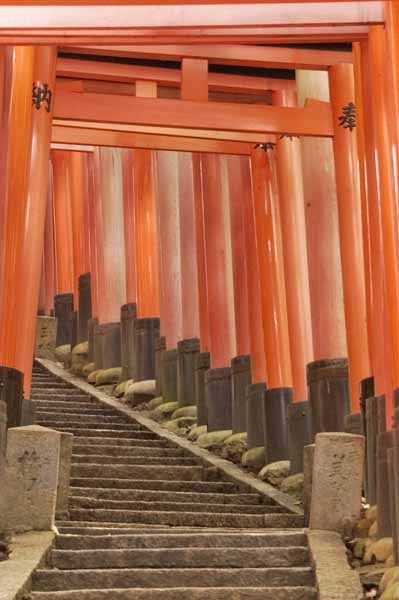 torii12