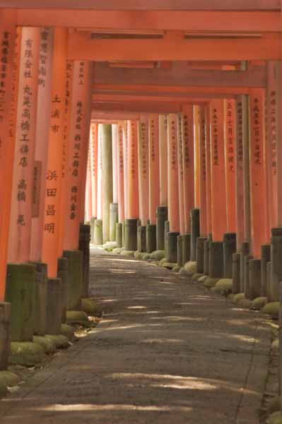 torii19